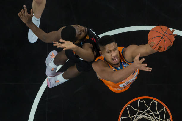 仅增强了身 仅增强了身